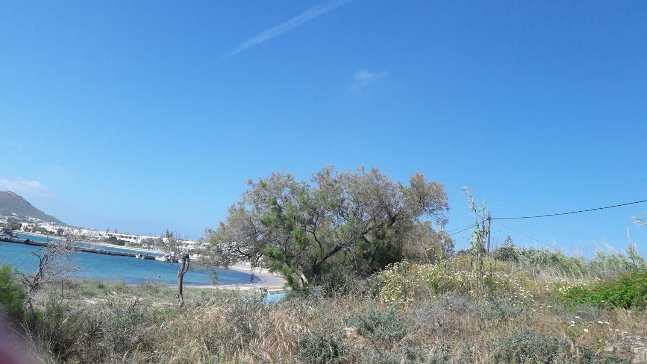 Chez Irene Sweet Pension Naxos City Bagian luar foto